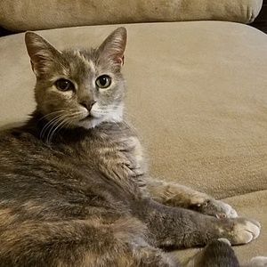 Meet your Posher, Tracy